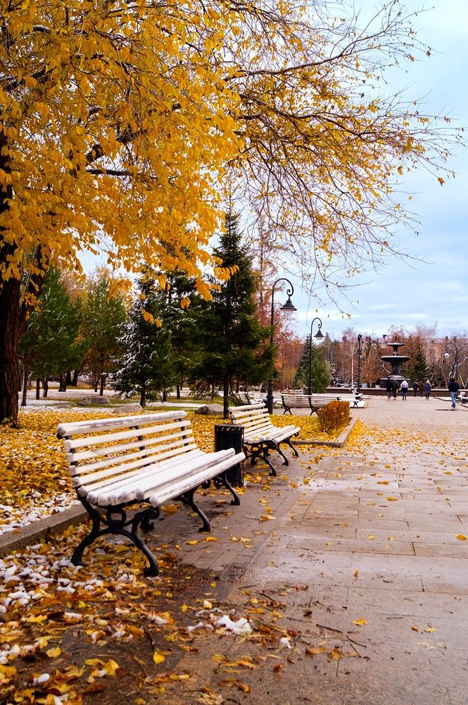 Photograph by Полина Котегова