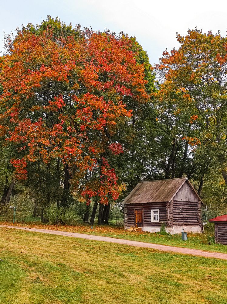 Ясная Поляна - усадьба Л. Н.Толстого