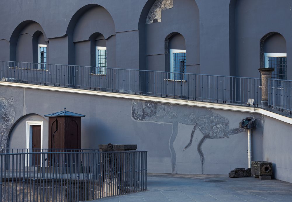 Photograph by Olga Tarabukina