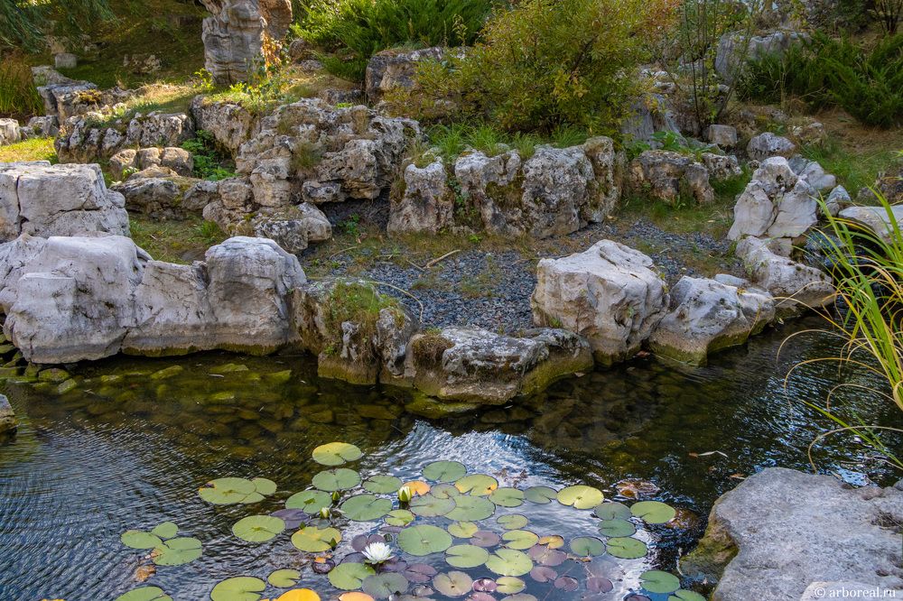 Photograph by Сергей Щербаков