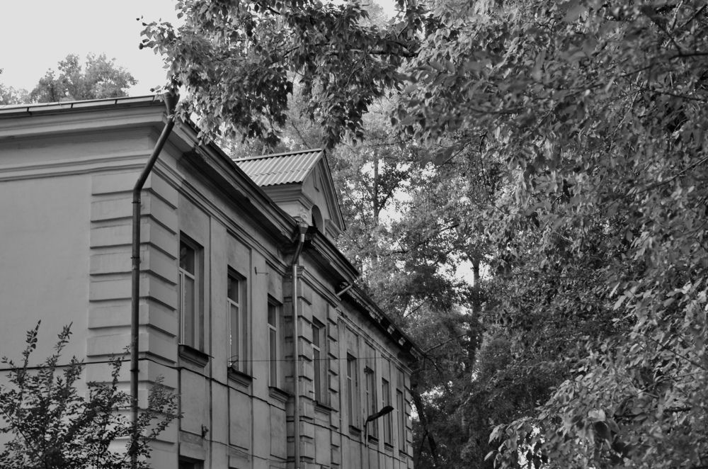 Фотография автора Наталья Николаева