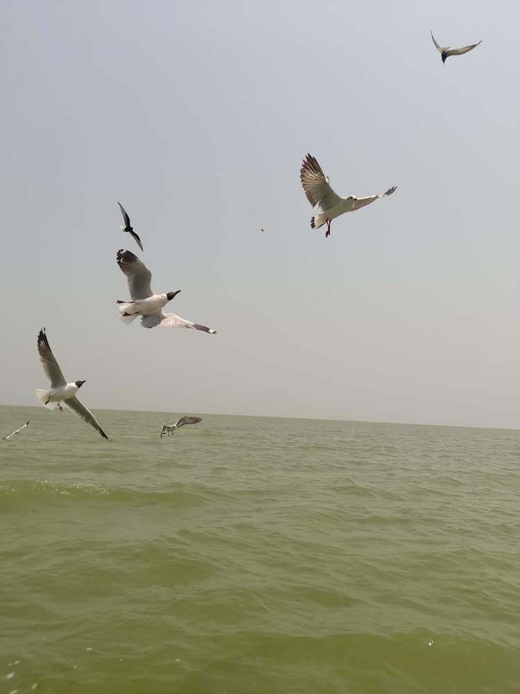 Photograph by MADHU KRISHNA