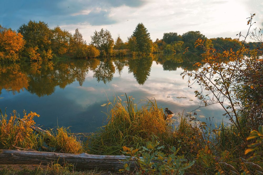 Photograph by Светлана Иванова