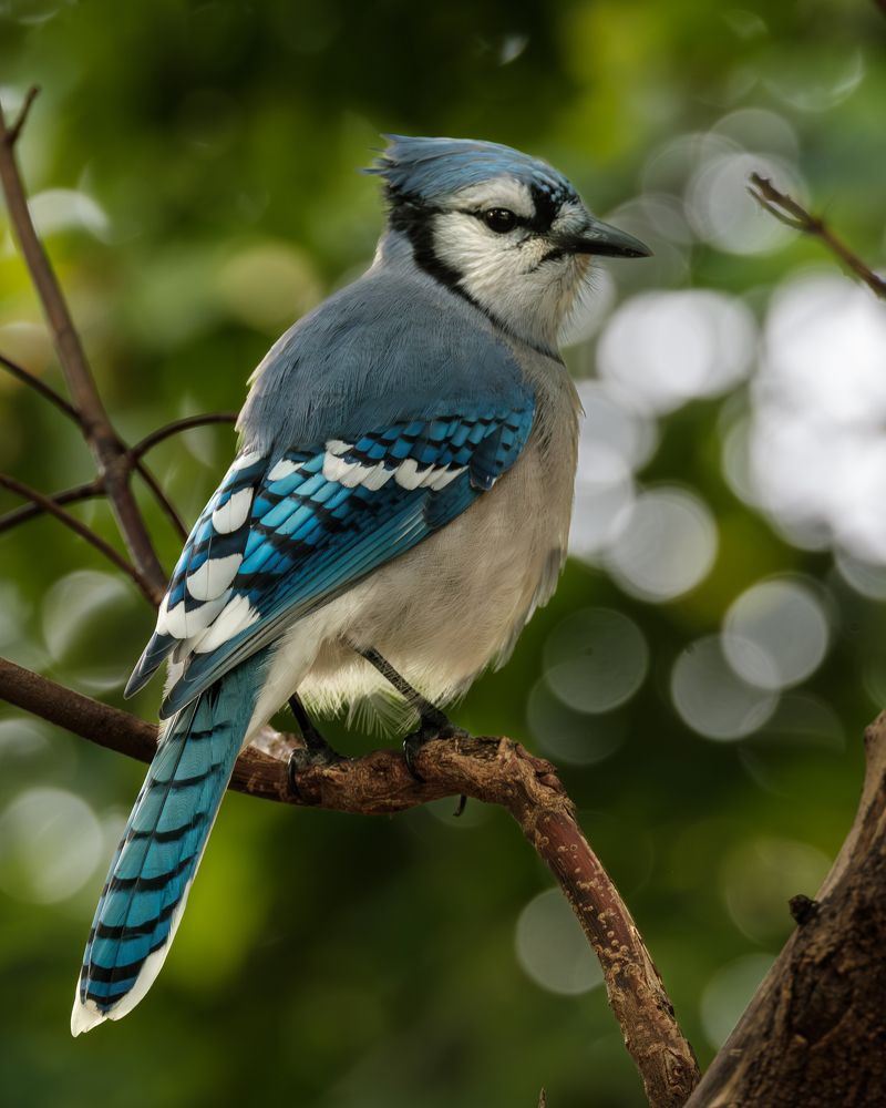 Photograph by Greg Noakes