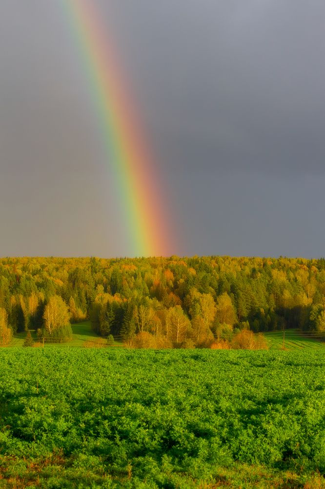 Photograph by Evgeniy