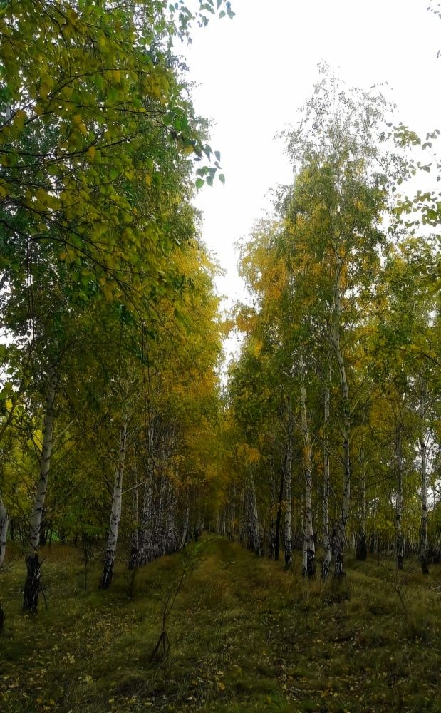 Photograph by Марина Мальцева