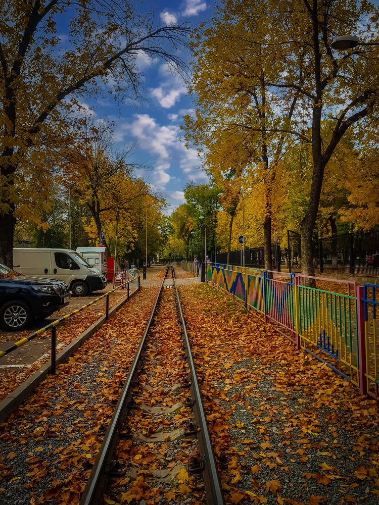 «Вот и осень, господа»