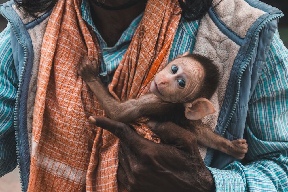 The Guardian of the Newborn