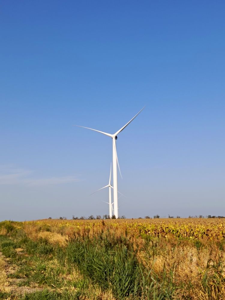 Photograph by Татьяна Пальчикова