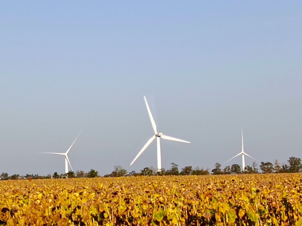 Photograph by Татьяна Пальчикова