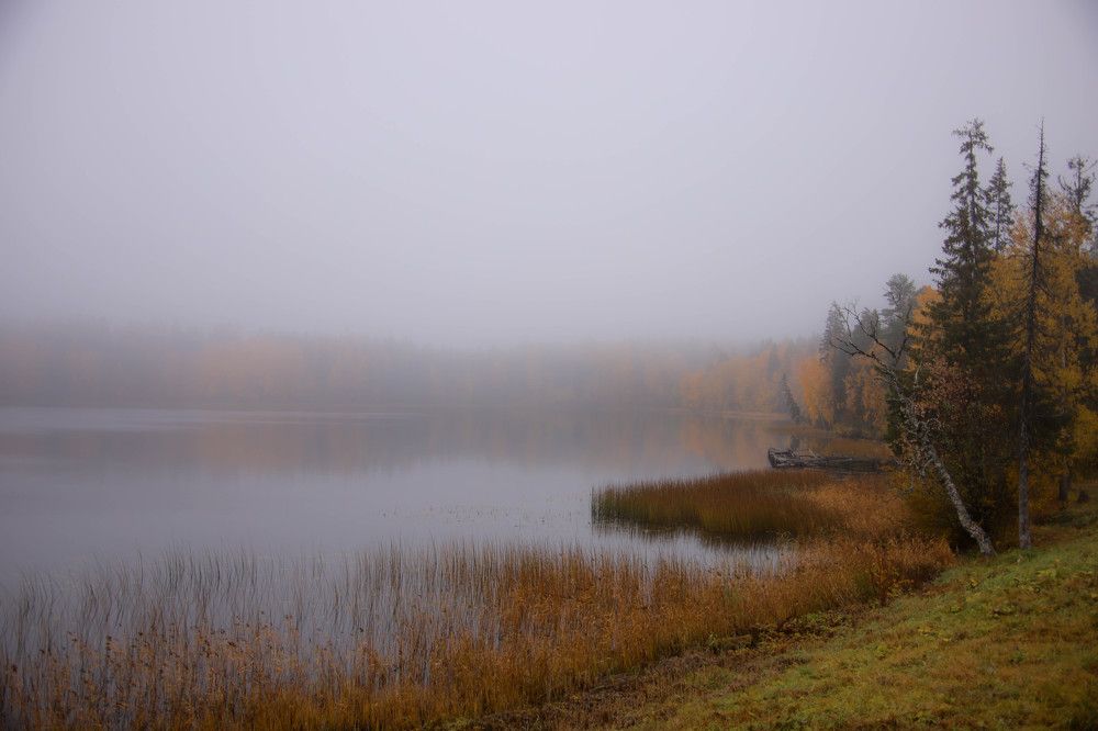 Photograph by Александр Трифанов