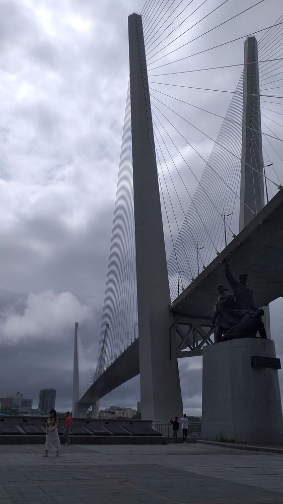 Photo #11076575