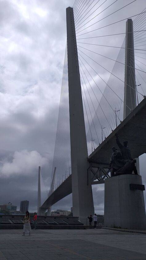 Photo #11076575