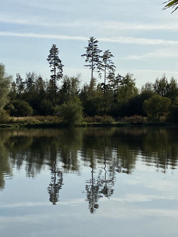 В японском стиле