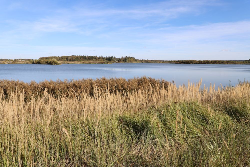 Photograph by Елена Тимченко