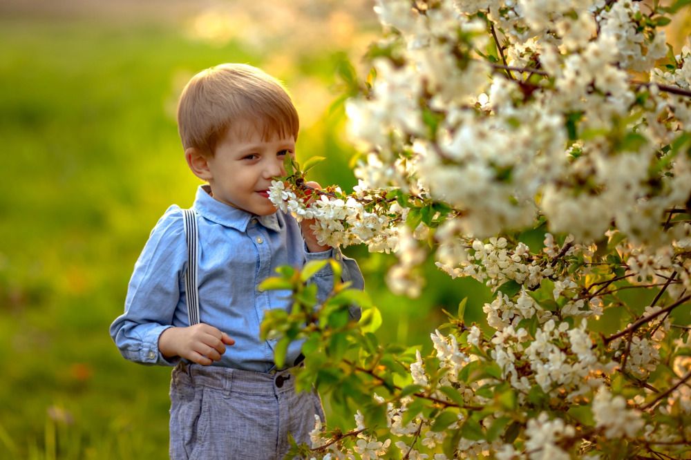 Ласковый май