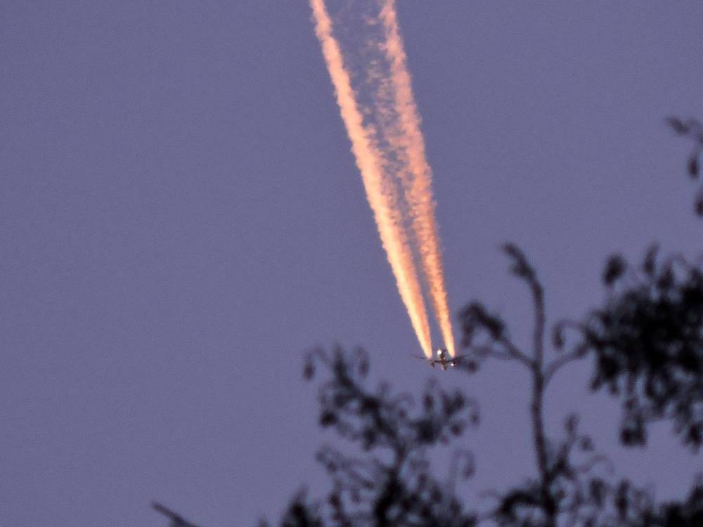 Photograph by Tatiana