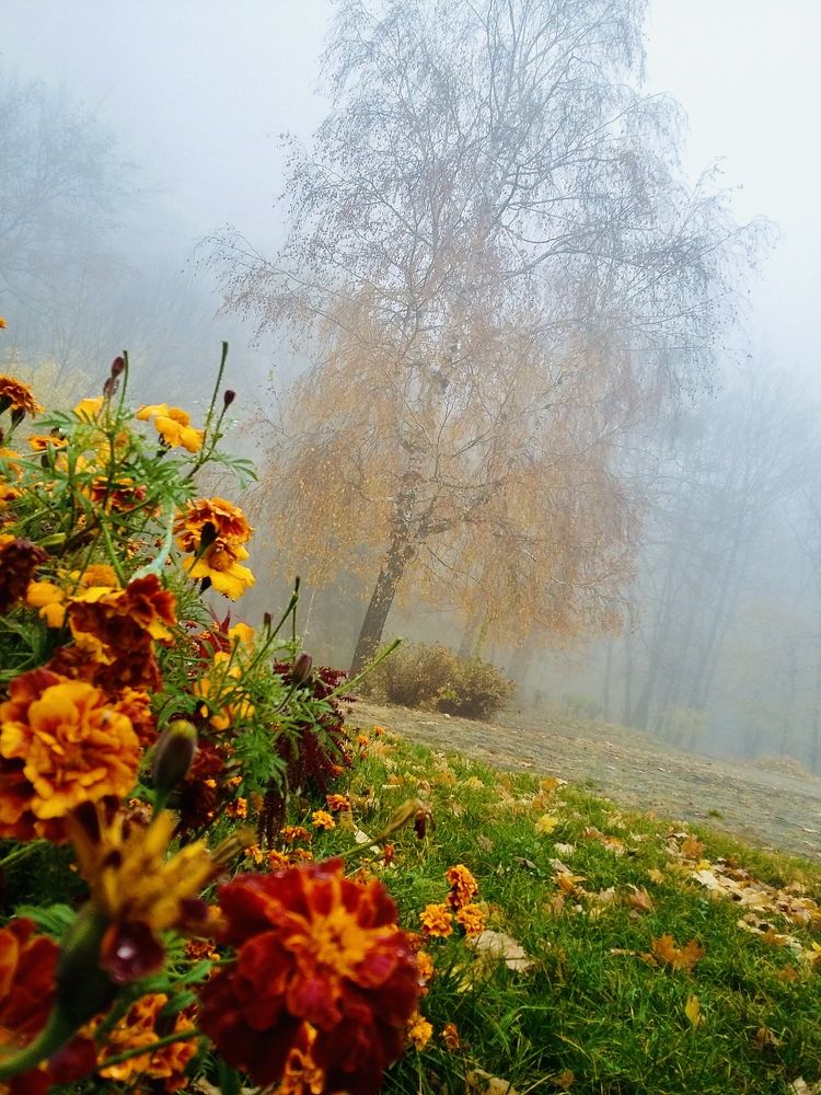 Photograph by Светлана Соколова