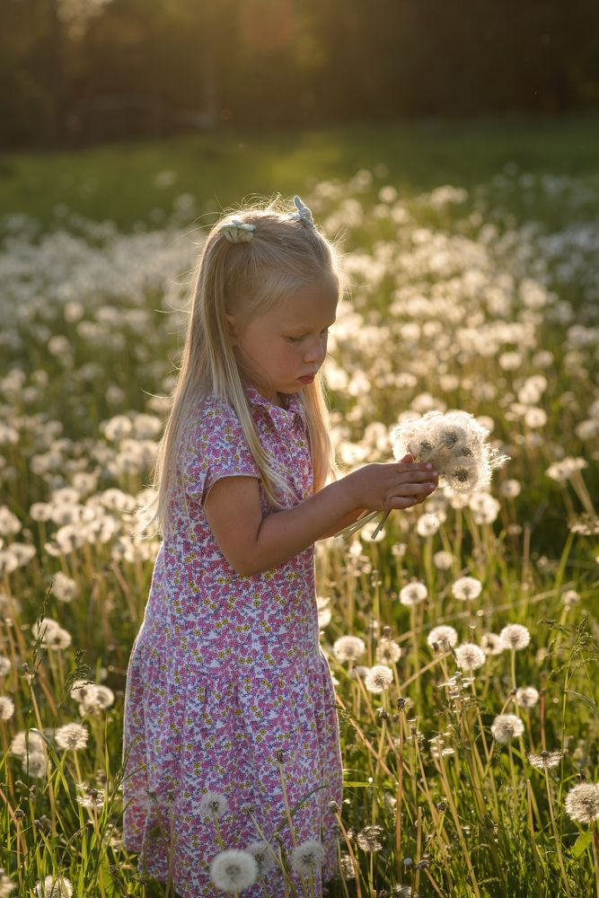 Photograph by Малахова Евгения