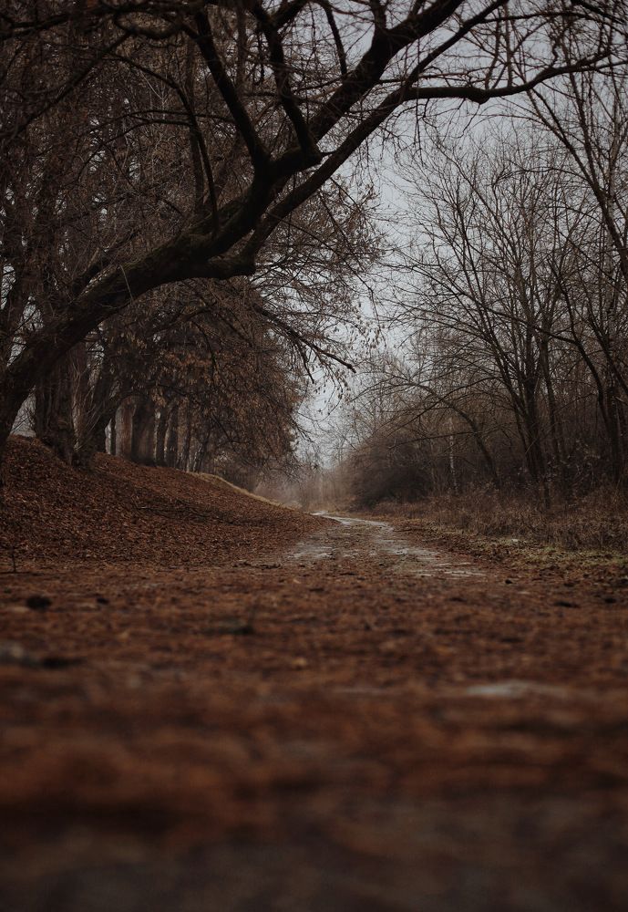 Photograph by Людмила Евстратова