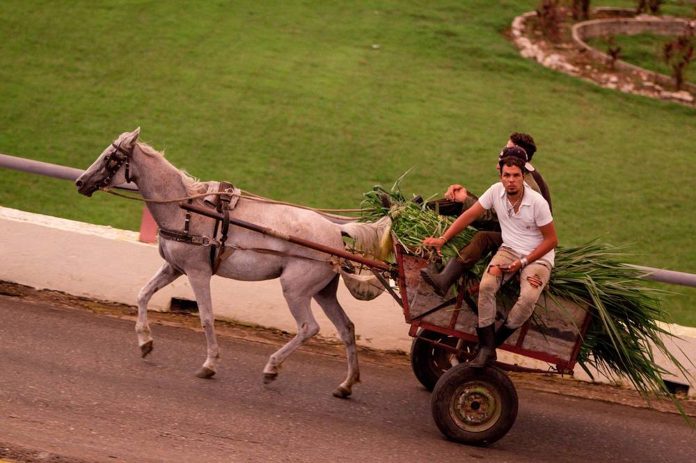 Photograph by Evelyn Carnot Montes