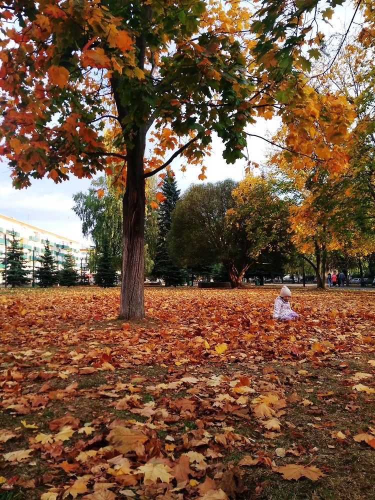 Photograph by Лилия Мустафина