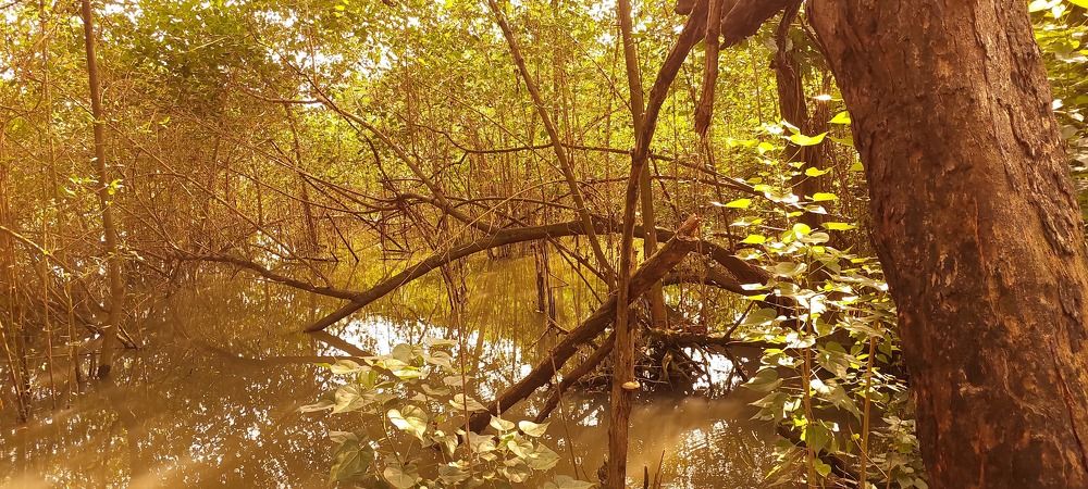 Photograph by CRINALDO REIS