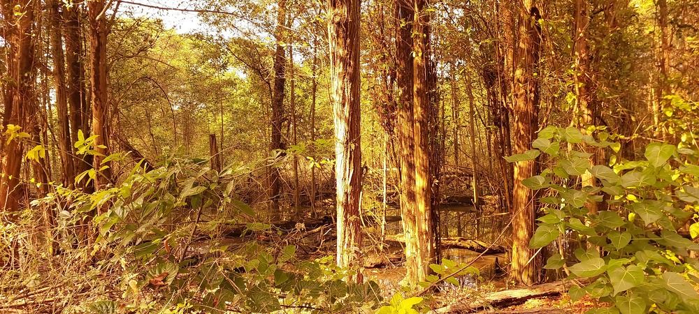 Photograph by CRINALDO REIS