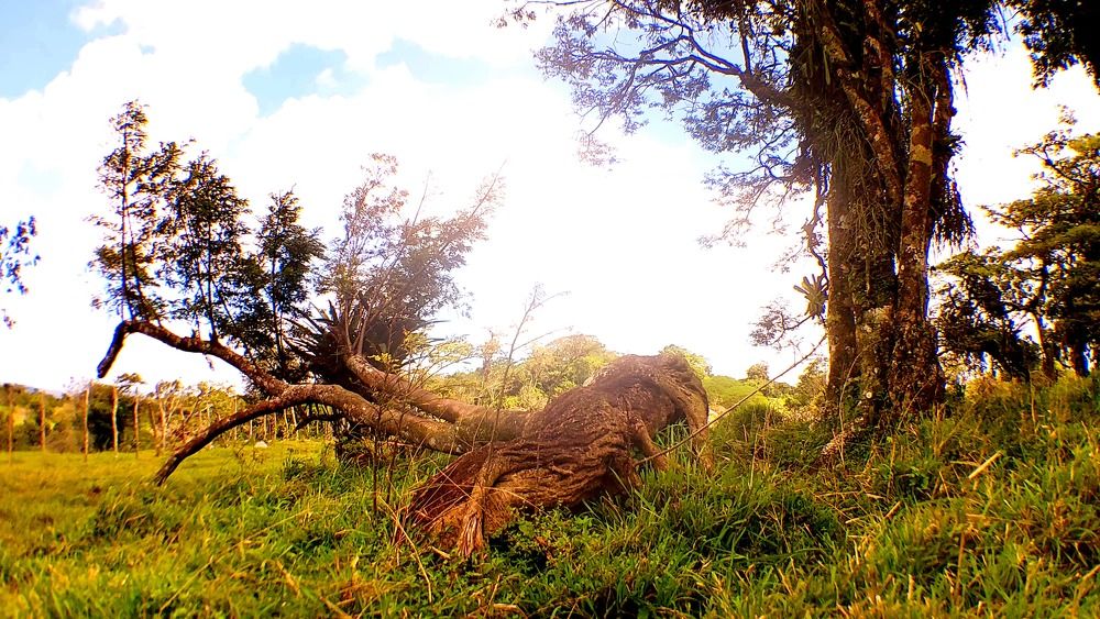 Photograph by CRINALDO REIS