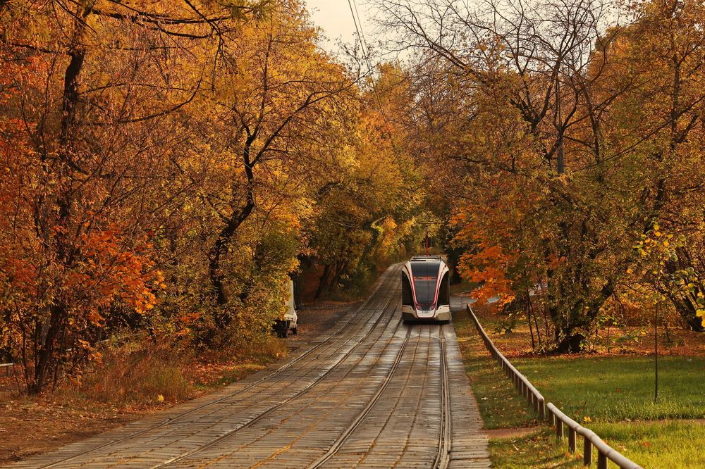 Photograph by Алексей Зимин