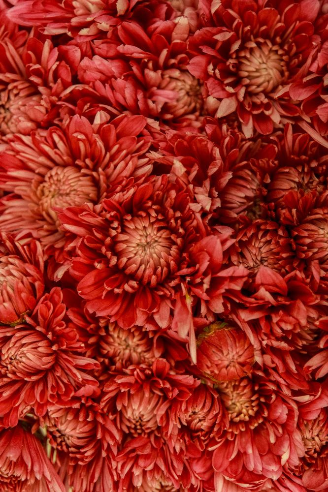 Photograph by Сергей Аверченко