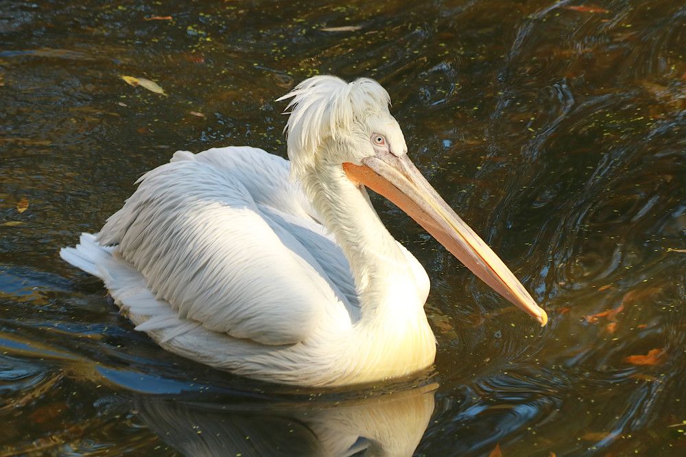 Photograph by Гагик Саркисян