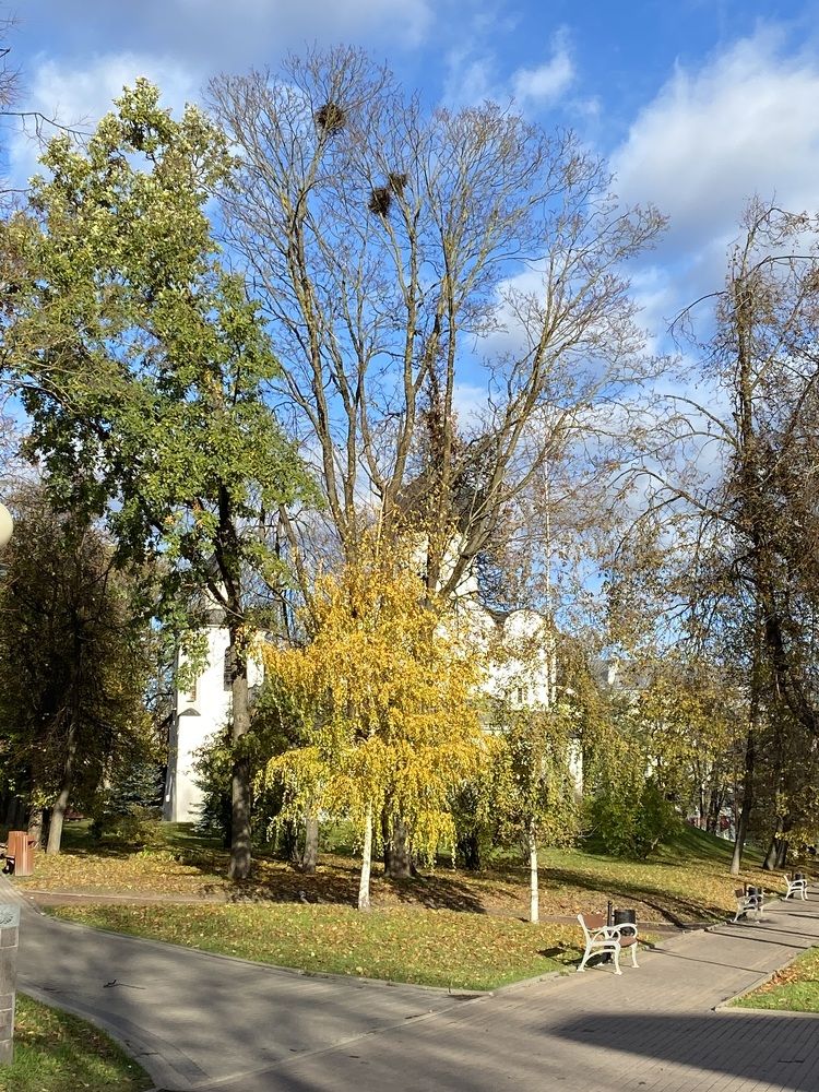 Photograph by NATALJA ROGALOVA