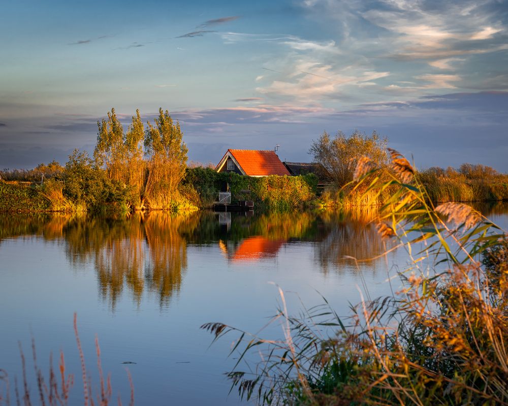 Photograph by Oksana Yermoshenko