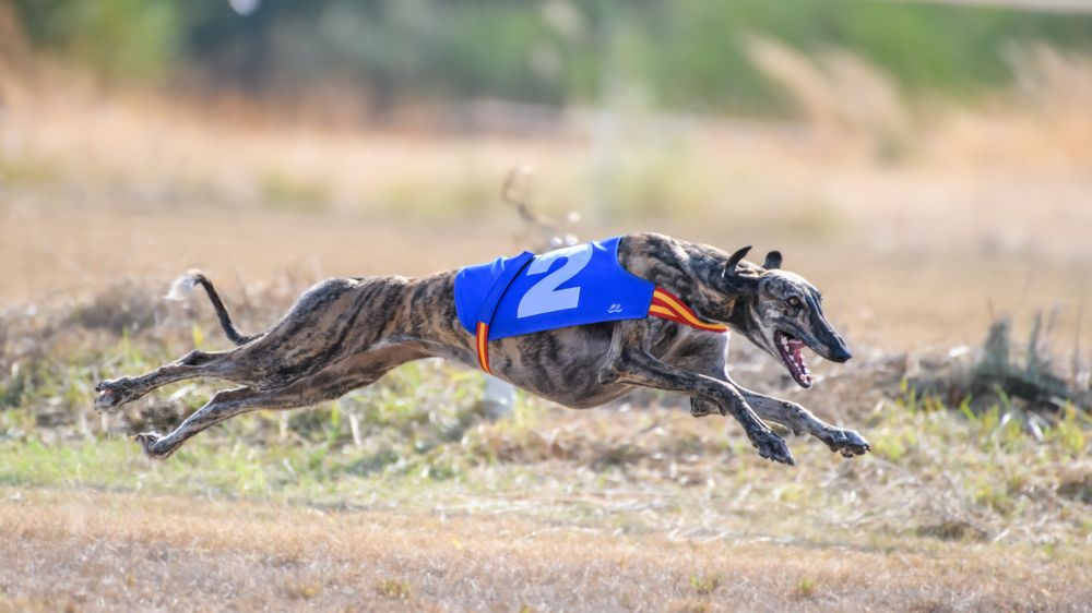 Photograph by Francisco José López Fernández