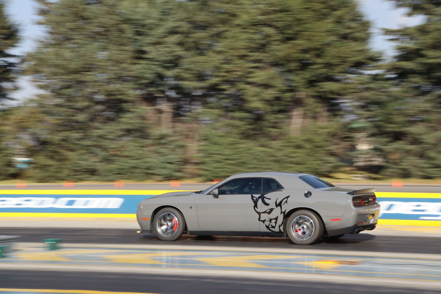 Photo #11077414
