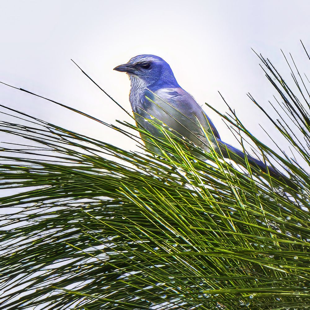 Photograph by Ray Asiala