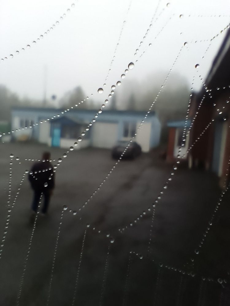 Фотография автора Ольга