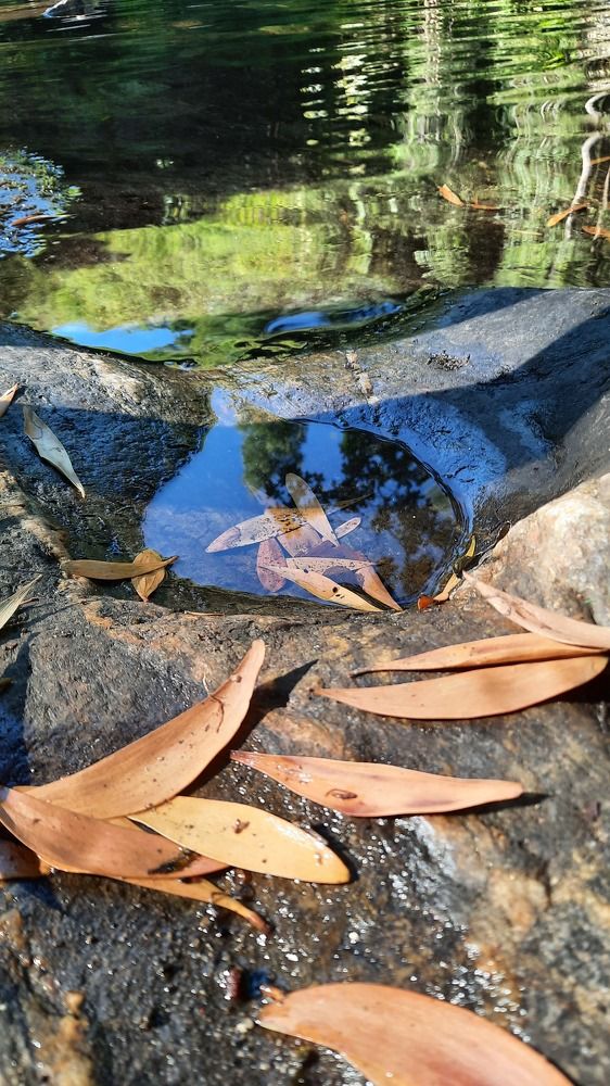 Фотография автора Anabela Maria Lima Silva