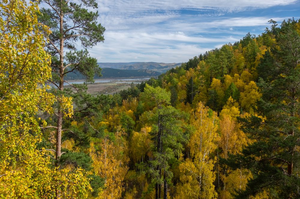 Фотография автора Андрей Ильков