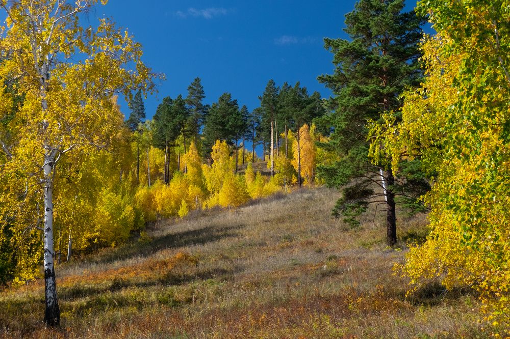 Фотография автора Андрей Ильков