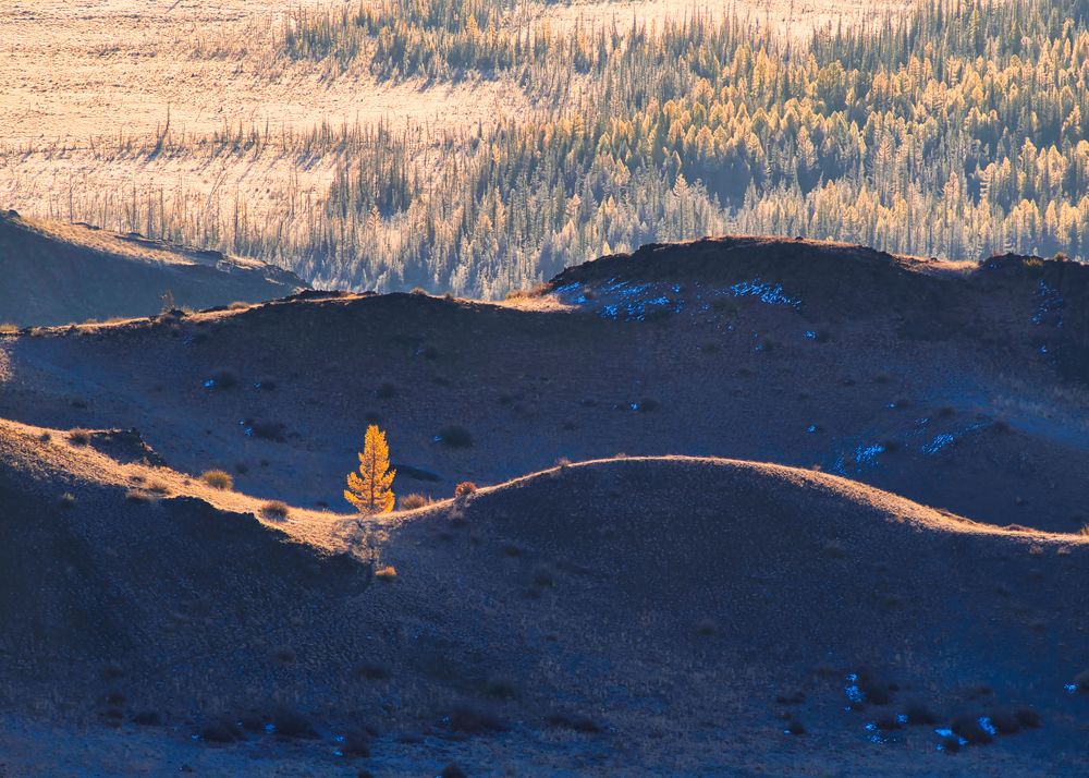 Photograph by Андрей Хаймин