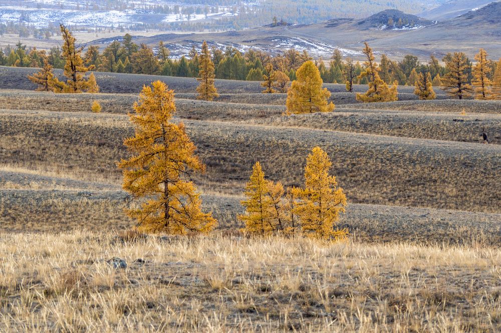 Photograph by Андрей Хаймин