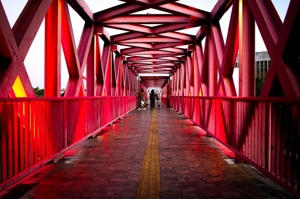 Photograph by Flávio Cavalcante