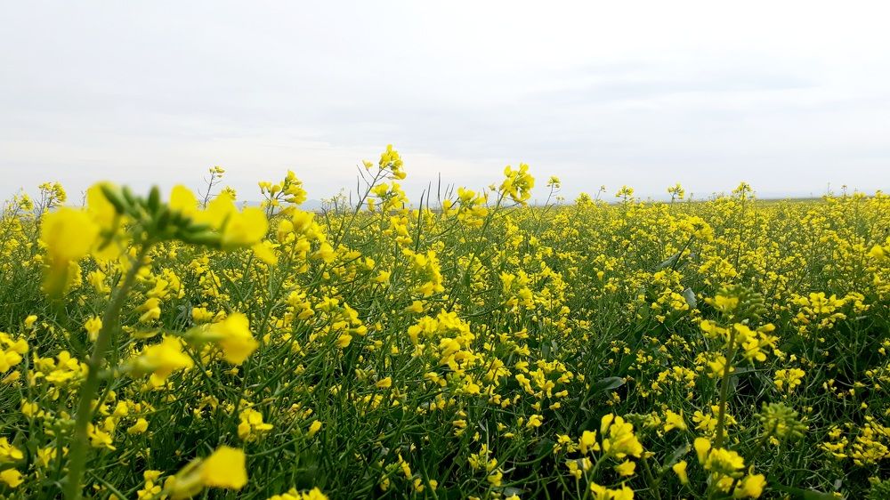 Photograph by Анастасия