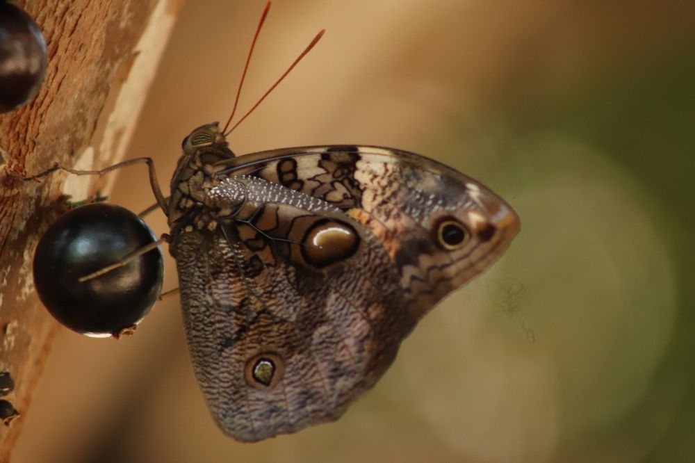 Photograph by Juliana