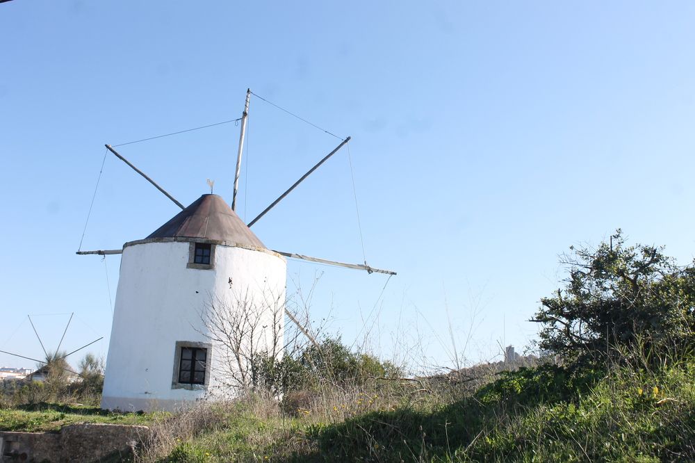 Photograph by Francisco Ferreira