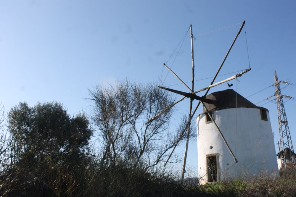 Photograph by Francisco Ferreira