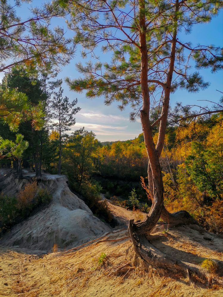 Photograph by Светлана Хамидулина