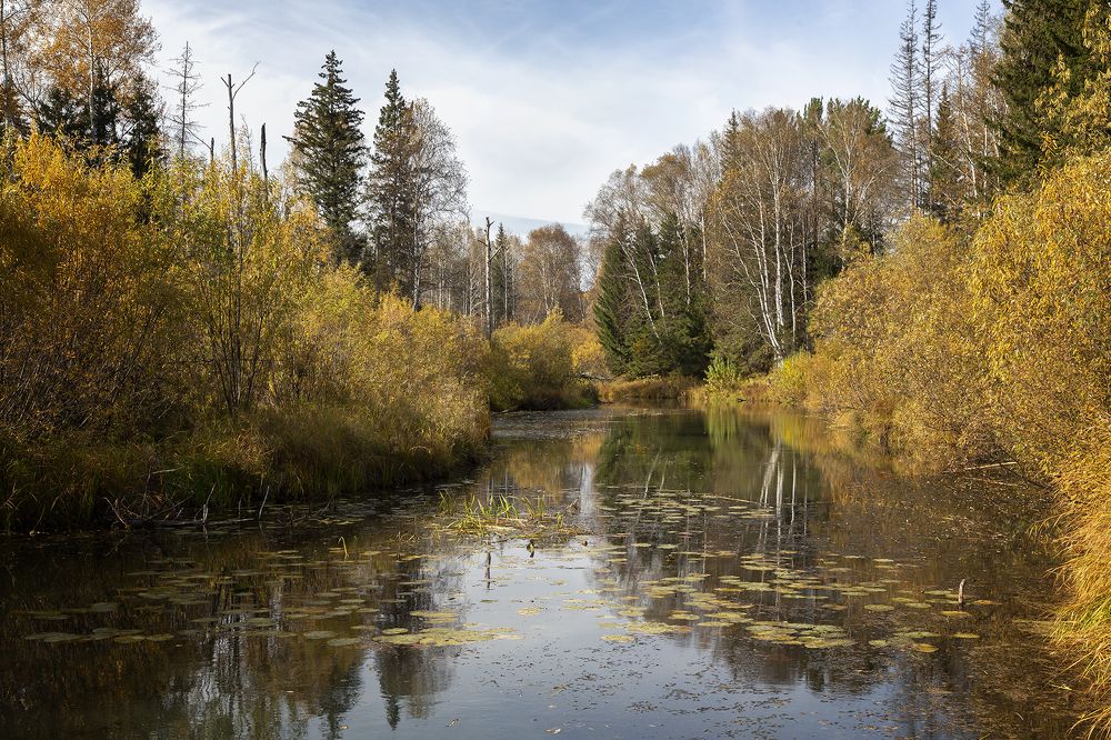 Photograph by Олег Тетерин